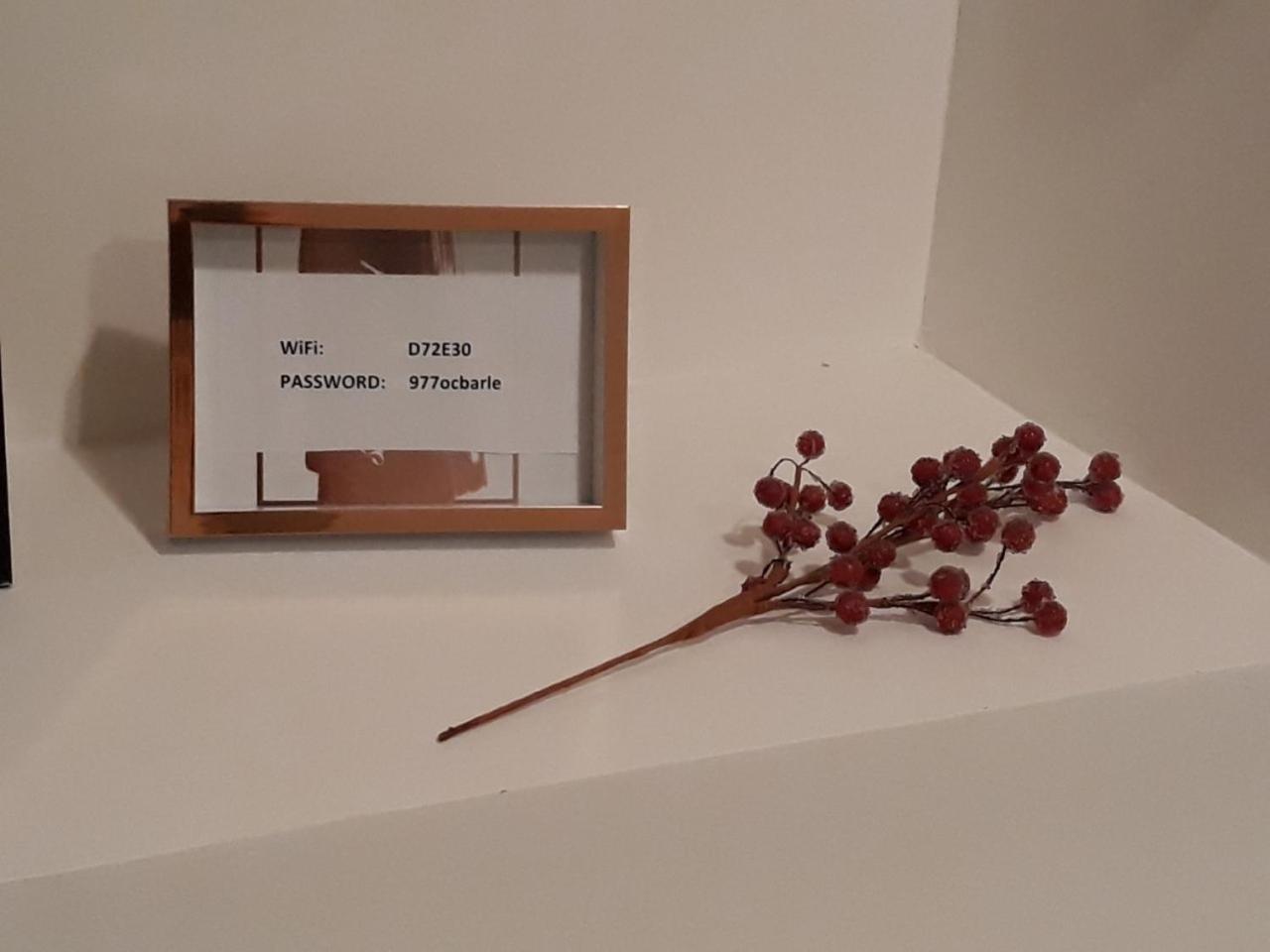 Apartmán White Pearl Bělehrad Exteriér fotografie